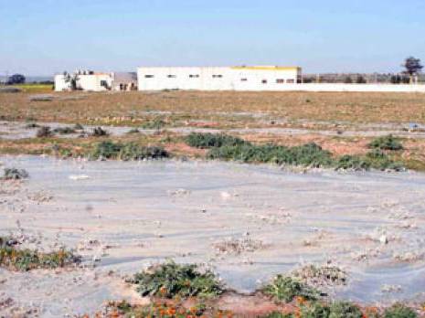 Environnement : des terres agricoles polluées par des rejets industriels                                    Mostaganem : les autres articles