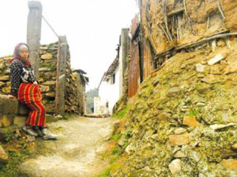 Commune de Aïn El Hammam : les oubliés de Aït El Djoudi                                    Tiziouzou : les autres articles