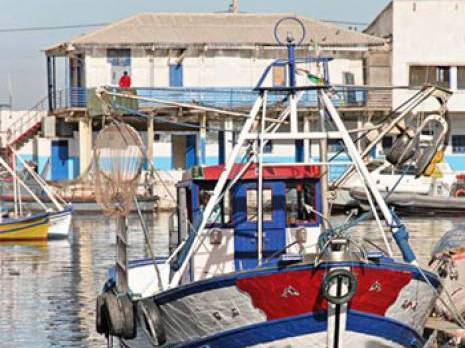 Pêche et ressources halieutiques : trois plages d'échouage en projet                                    Oran : les autres articles