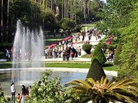 Le jardin d'essais célèbre la Journée mondiale de l'arbre