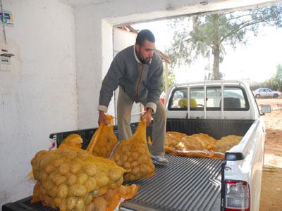 150 tonnes de pommes de terre par jour seront mises sur le marché                                    Décision prise à Aïn Defla lors d'une réunion d'urgence