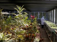 Passer de la recherche scientifique au stade industriel                                    Plantes aromatiques et médicinales