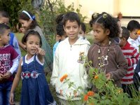 Aid el-Adha : ambiance de piété et de joie mais aussi de tristesse