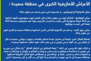 الأعراش الأمازيغية الكبرى في منطقة سعيدة ( أمازيغ سعيدة )