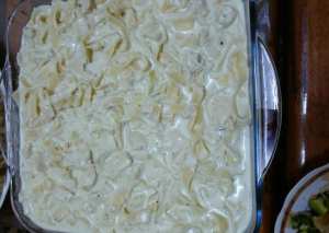 فتوشيني بالدجاج