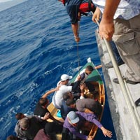 توقيف 12مهاجرا سرّيا بعرض البحر                                    مستغانم