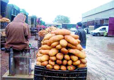 Réunion des partenaires de Aïn Defla, Blida, Tipasa et Alger