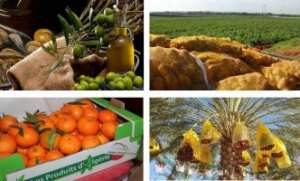 LE 1ER SALON NATIONAL DE L’AGRICULTURE ET DE L’INNOVATION INAUGURÉ HIER: Des inventions exposées à Tizi Ouzou