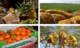 LE 1ER SALON NATIONAL DE L’AGRICULTURE ET DE L’INNOVATION INAUGURÉ HIER: Des inventions exposées à Tizi Ouzou