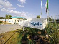 M'sila : Alors que leur usine est toujours bloquée                                    Des cadres et des agents de sécurité d'Algal Plus agressés à l'arme blanche