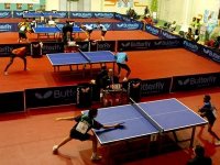 Tennis de table/Tournoi de l'amitié algéro-chinoise : 64 pongistes au tournoi d'Alger