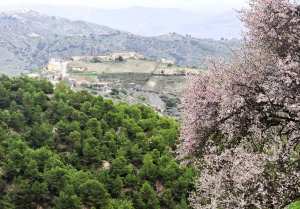 Potentialités touristiques à Bordj Bou Arréridj: Des régions pittoresques en friche