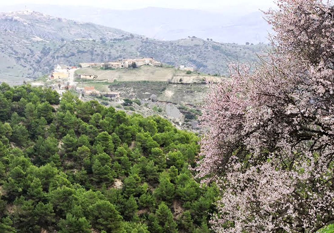 Potentialités touristiques à Bordj Bou Arréridj: Des régions pittoresques en friche