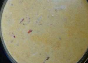 ستروغونوف الدجاج