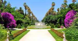 le jardin d'essaie d'Elhama Alger