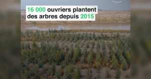 REFORESTATION : LE PAKISTAN PLANTE UN MILLIARD D'ARBRES