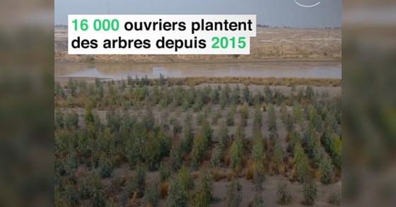 REFORESTATION : LE PAKISTAN PLANTE UN MILLIARD D'ARBRES