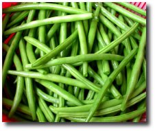 Canapés aux haricots verts