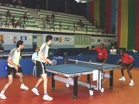 Tennis de Table : l'Algérie prête pour le Circuit mondial et le championnat d'Afrique
