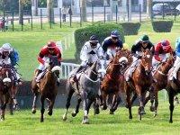Un grand prix de qualité                                    Les courses à El eulma