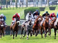 Un grand prix de qualité                                    Les courses à El eulma