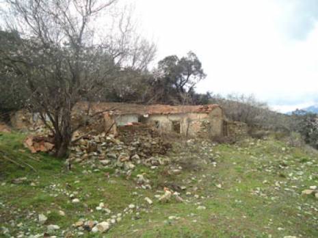 Abdelkader Allali : «Le rapt des moines a nécessité le regroupement de 150 terroristes»                                    Actualité : les autres articles