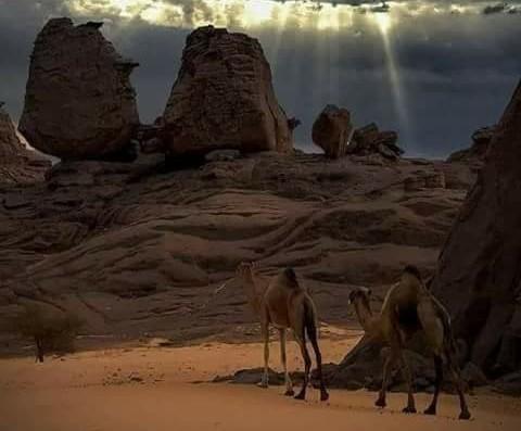 ثق في من يجادلك ولا يتفق معك أحيانا...