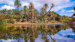 واحة مغرار _ ولاية النعامة: