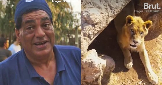 VÉTÉRINAIRE DE GUERRE, AMIR KHALIL SAUVE LES ANIMAUX VICTIMES DES CONFLITS