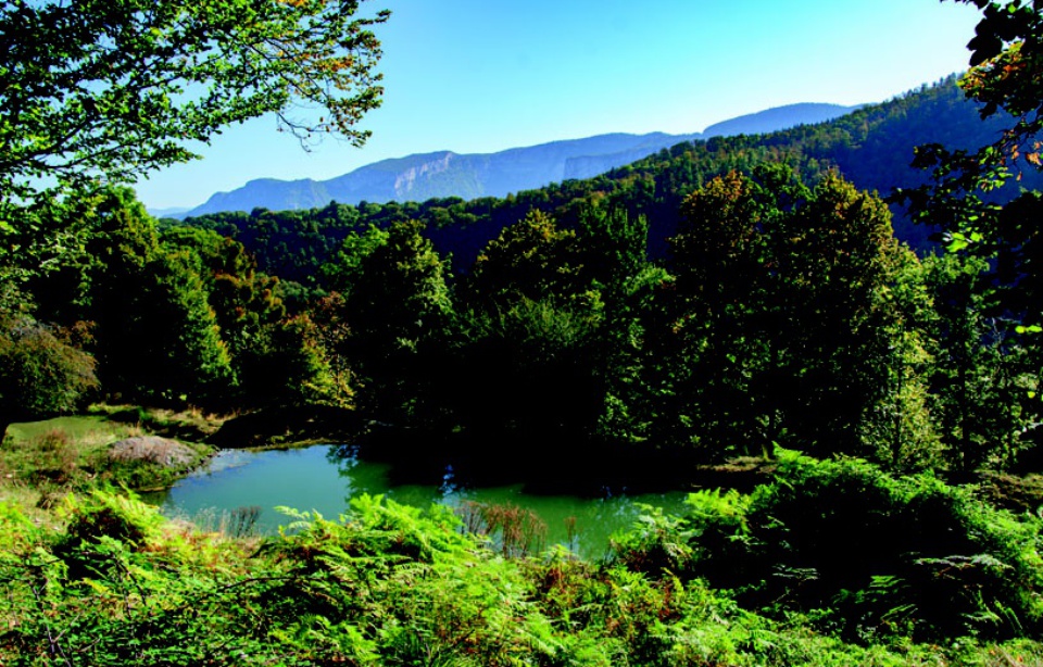 Planète - «Ré-ensauvageons la France»: Quand une association acquiert des terres pour les redonner à la nature