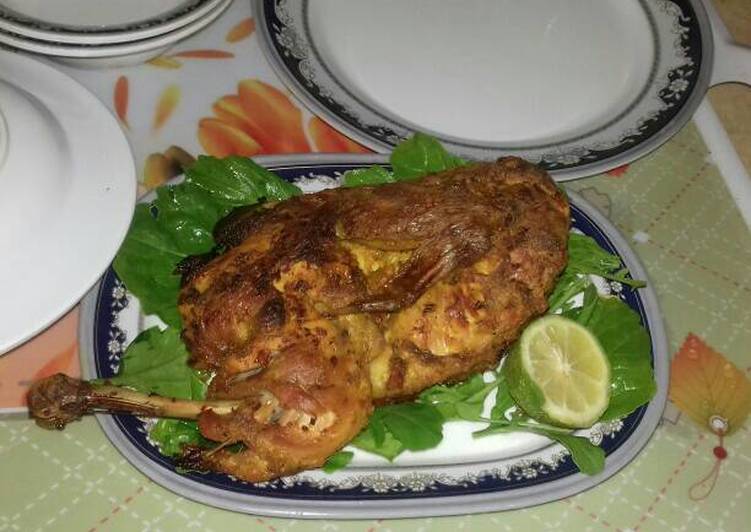 فراخ الزبادي