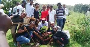 Planète - Une organisation kényane va tenter de battre un record Guinness en plantant des arbres