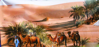 2e Salon national du dromadaire