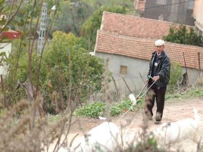 Le sous-développement commence et finit au sud de la wilaya                                    Tizi Ouzou : la misère, le délabrement social et un développement intégré qui tarde à voir le jour