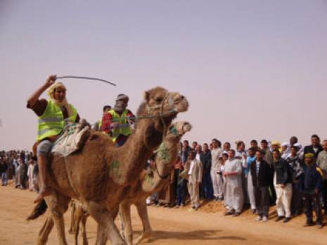 Ouargla : le Salon du dromadaire, 24 ans après                                    Ouargala : les autres articles