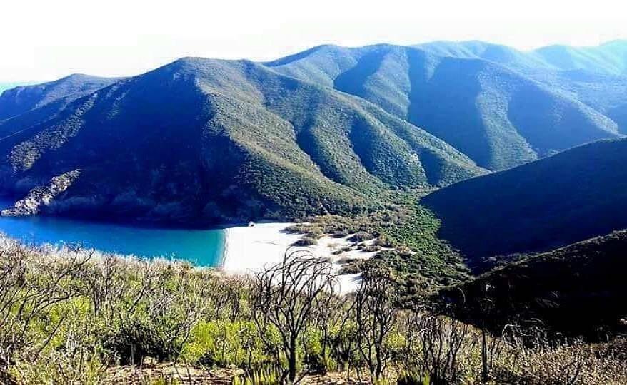 Bonjour de #Tamalous  #Skikda... !