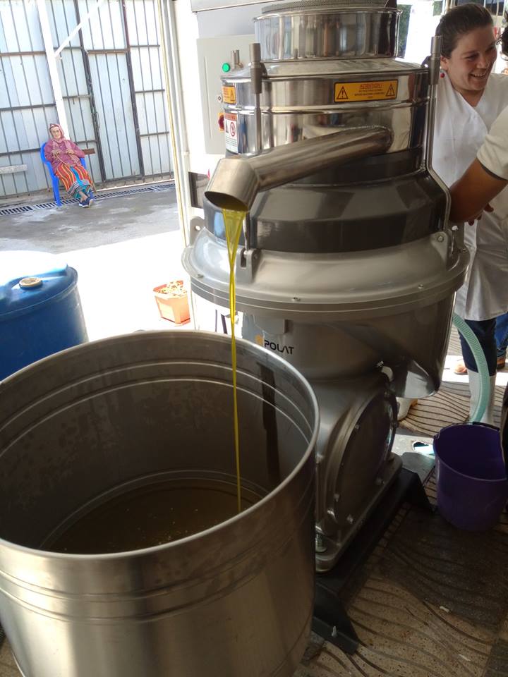 Mise en service de la nouvelle huilerie moderne à Ait frah