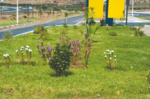 RELIZANE -  Les espaces verts laissés à l’abandon