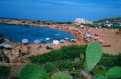 الهلال الأحمر الجزائري بجيجل يعد ب