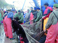 Création d'une société par actions                                    AIN TEMOUCHENT, Chambre nationale de la pêche