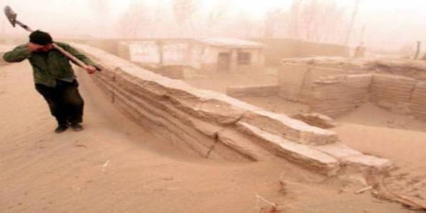 تجسيد عدة عمليات لمكافحة ظاهرة التصحر بولاية تندوف