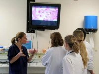 19e réunion de dermatologie pratique Tlemcen