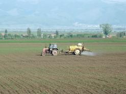 اختصاصيون يقفون على الواقع الصعب للاستثمار الفلاحي بباتنة                                    مشاكل عديدة تحول دون الوصول إلى النتائج المرجوة