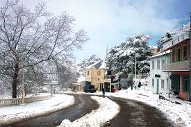 Blida -  Premières chutes de neige sur les cimes de Chréa