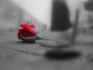 Réflexion « Le cercueil de la mémoire »