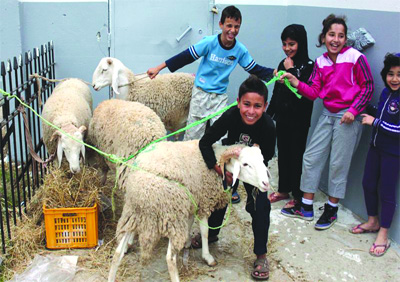 L'Aïd El-Kebir à Thiaroussine (Bordj Bou-Arréridj)