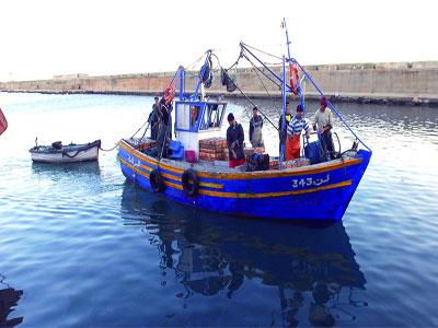 Une réorganisation pour mieux relever les défis                                    Secteur de la pêche