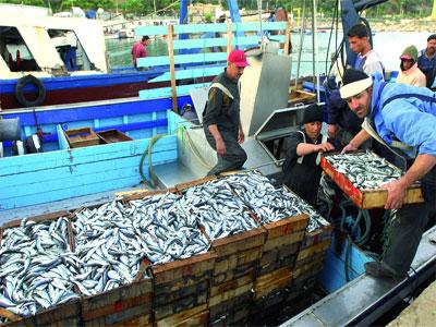 La régulation du marché des produits de pêche en ligne de mire                                    Quatre marchés de gros sont prévus pour 2012