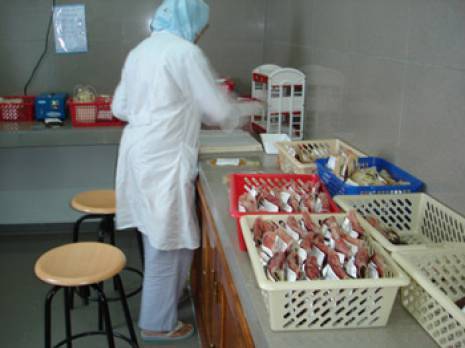 Le geste qui sauve                                    Journée maghrébine du don de sang