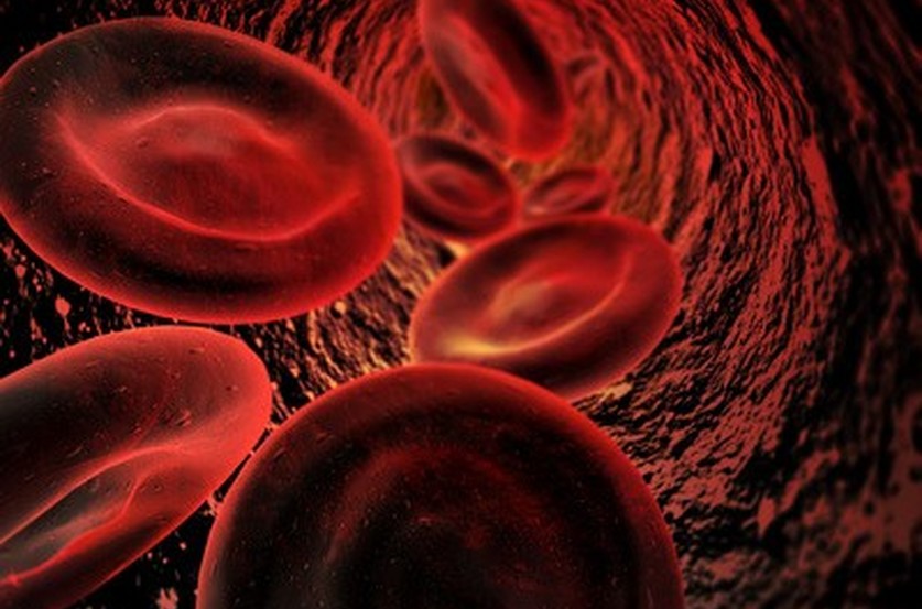 Tlemcen: Des recommandations pour les maladies du sang